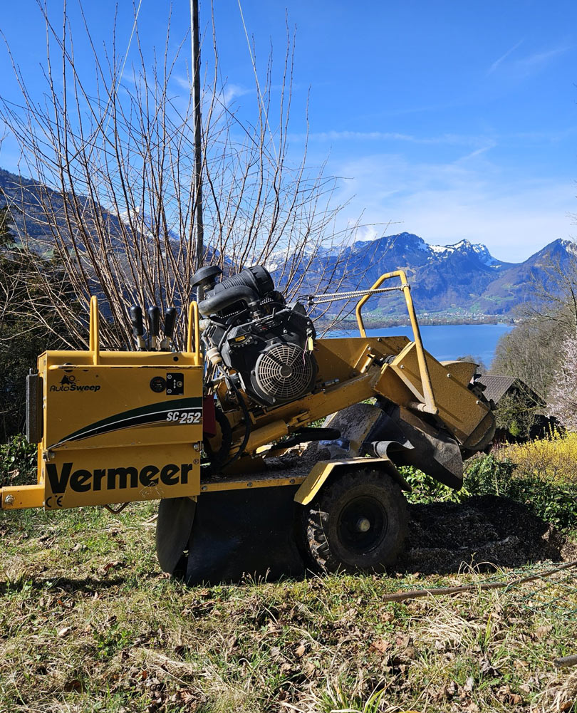 Baumpflege mit einer mobilen Stumpffräse vor einer malerischen Bergkulisse.