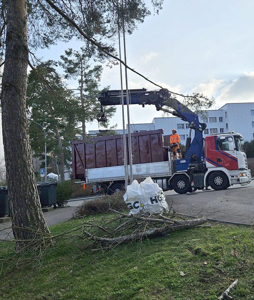 Baumfäller bei der Entsorgung von Ästen nach Baumfällungen in einer städtischen Umgebung