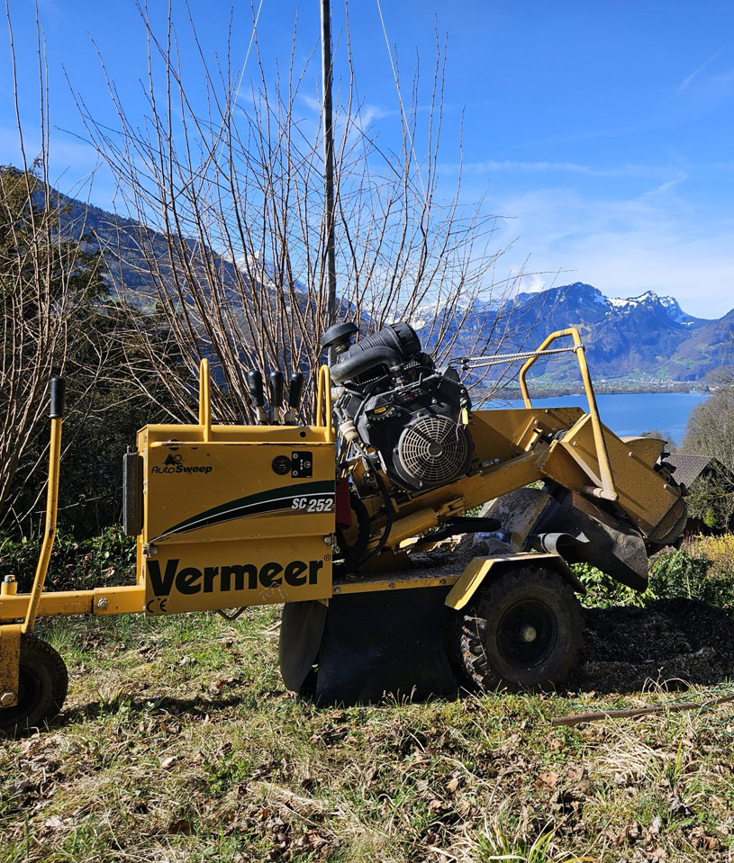 Baumstumpffräse im Einsatz nach Baumfällungen mit malerischem Berg- und Seeblick im Hintergrund.